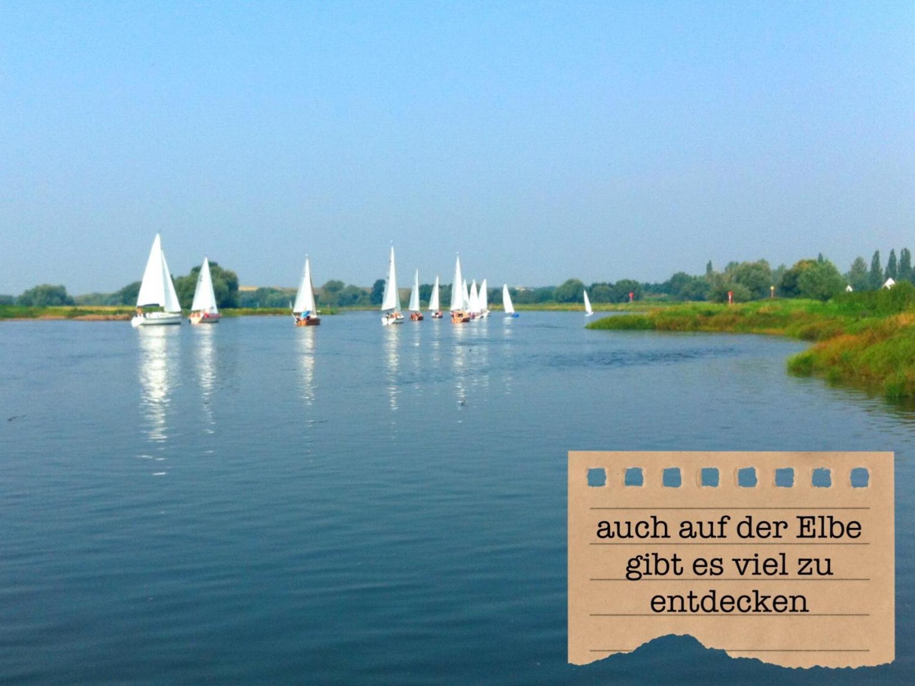 Alte Schule Wittenberg, 3 Ferienwohnungen Fuer Bis Zu 12 Personen, An Der Elbe, Mit Garten Exterior foto
