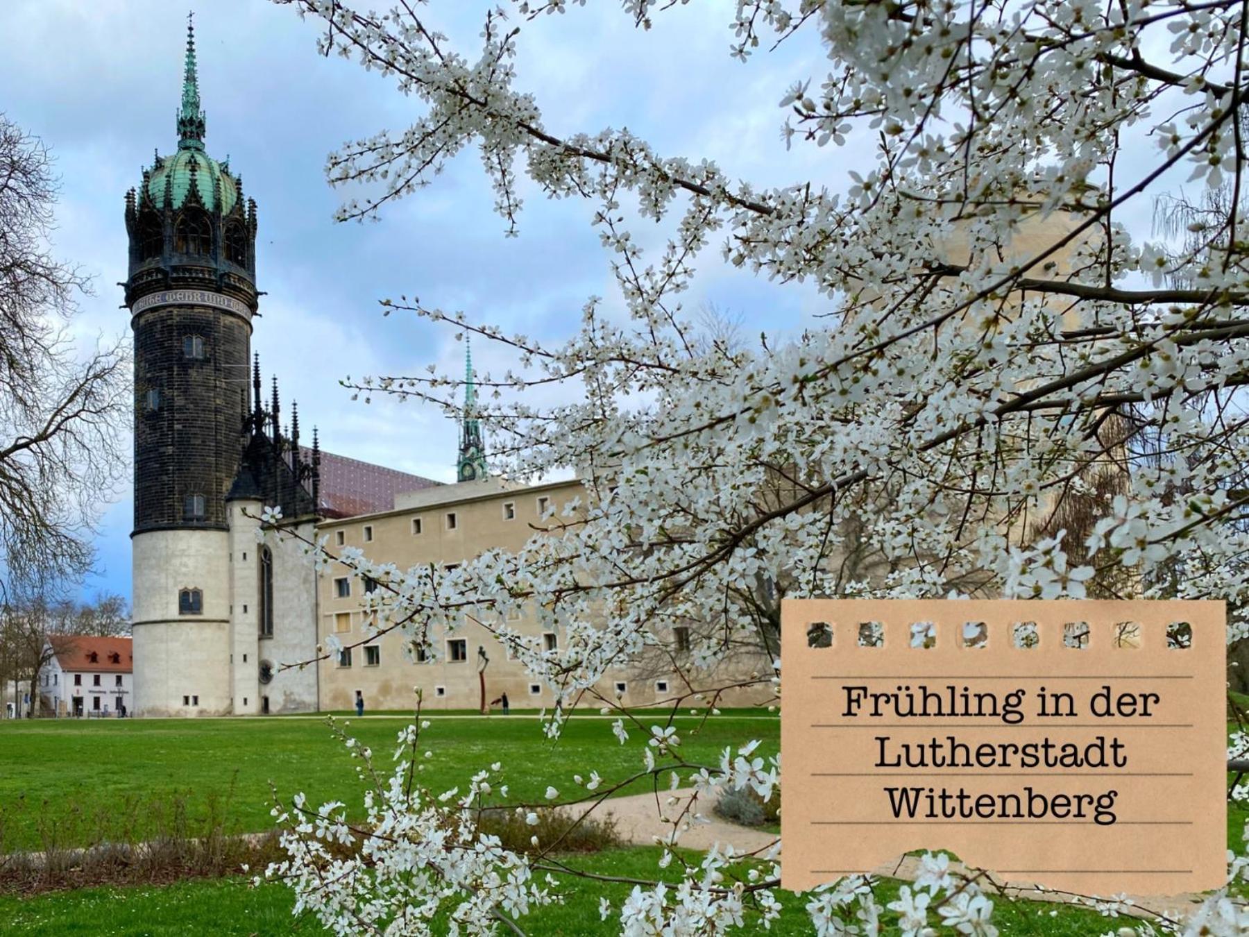 Alte Schule Wittenberg, 3 Ferienwohnungen Fuer Bis Zu 12 Personen, An Der Elbe, Mit Garten Exterior foto